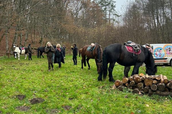 Wyjazd w teren warsztaty