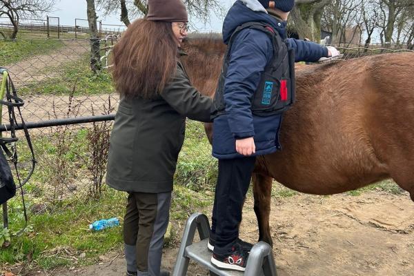 Wspólne szykowanie koni