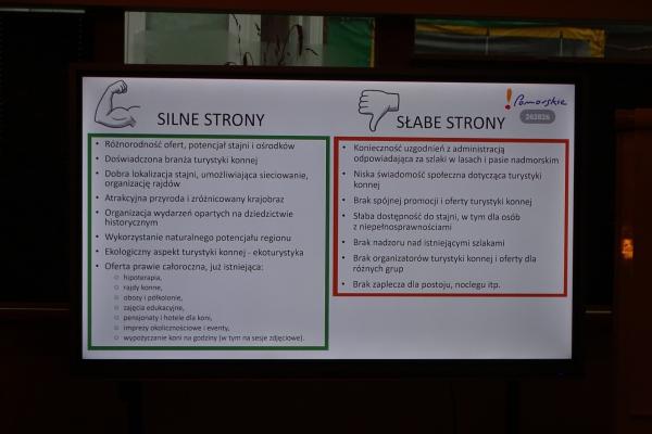 dane statystyczne turystyka konna