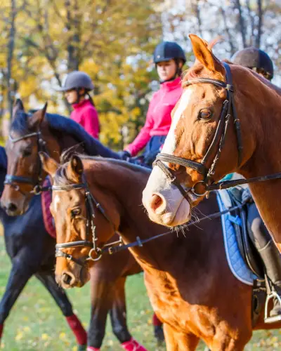 Jeździeckie Mistrzostwa Kaszub