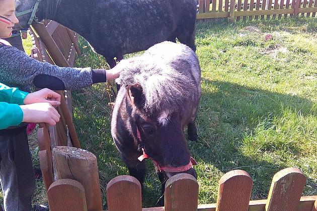 Wyjazd integracyjny pn. 