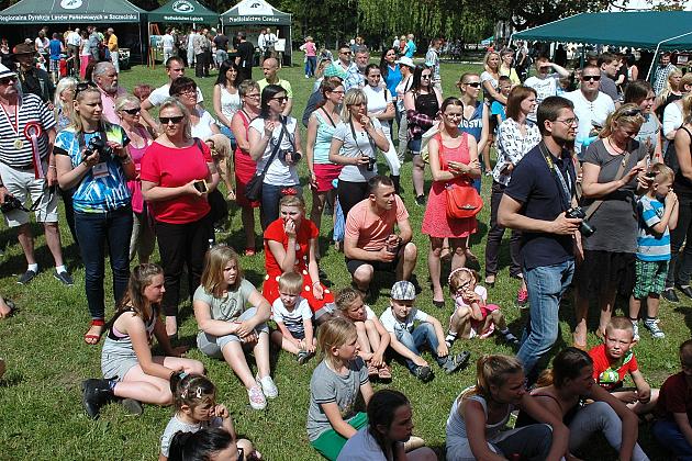 Działania na rzecz rozowju kultury wśród mieszkańców powiatu słupskiego podczas IV Jeździeckich Mistrzostwach Kaszub - Runowo 2016 - organizacja Strefy Kultury