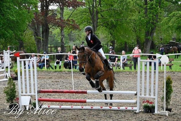 Towarzyskie Zawody Jeździeckie w Skokach przez Przeszkody
