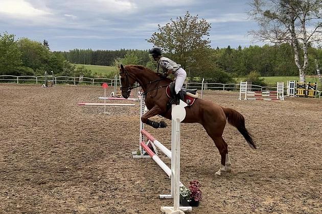 Towarzyskie Zawody Jeździeckie w Skokach przez Przeszkody