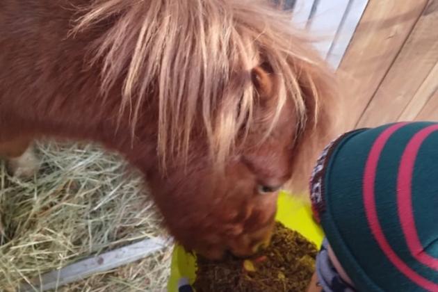 Potęga Przedszkolaka projekt współfinansowany z EFS