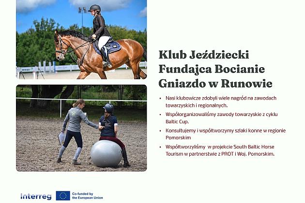 Podsumowanie działań Fundacji w 2024 roku