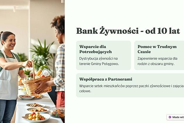 Podsumowanie działań Fundacji w 2024 roku