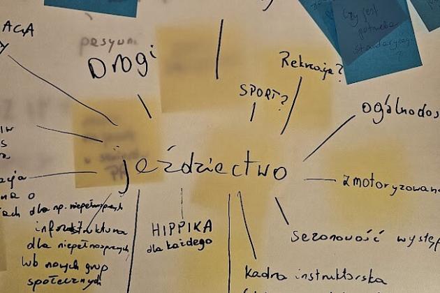 hippika - jeździectwo