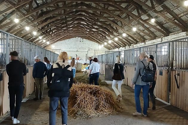 Spotkanie partnerów projektu „Horse Tourism for Everyone” na Litwie