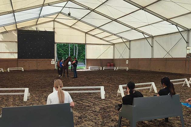 Z końmi w dialogu – mistrzowskie szkolenie z Janem Ratajczakiem w Runowie