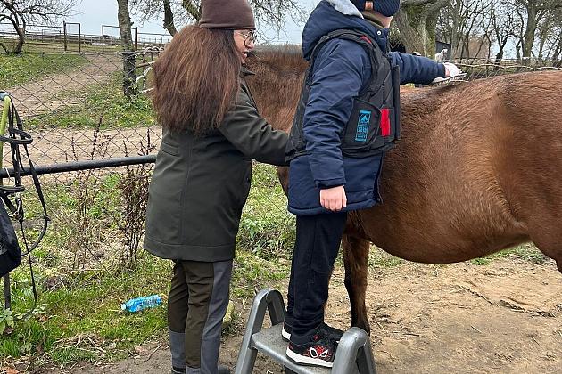 Wspólne szykowanie koni