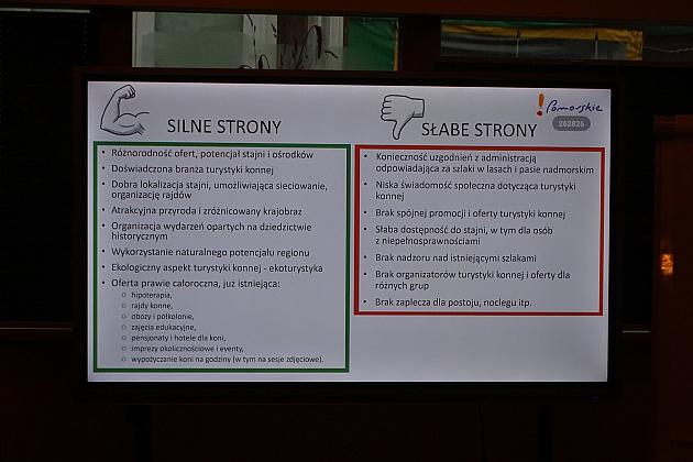 dane statystyczne turystyka konna