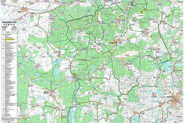 Spotkanie szkoleniowe RDLP w Gdańsku – prezentacja dobrych praktyk z Runowa i modelu współpracy na rzecz turystyki konnej