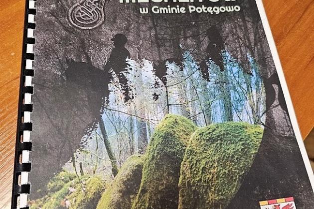 Turystyka konna dostępna dla każdego