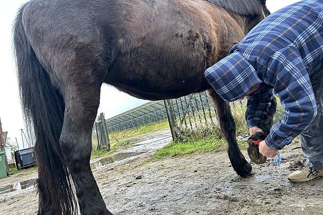 Podsumowanie projektu „Aktywna turystyka konna bez barier”